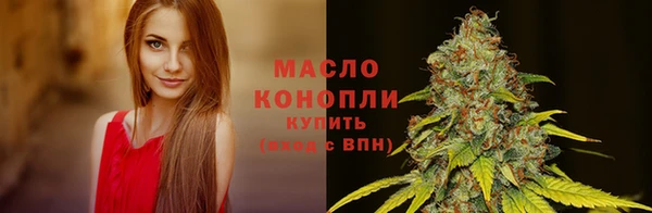 сатива Козельск