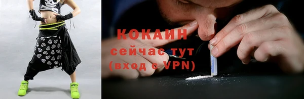 сатива Козельск