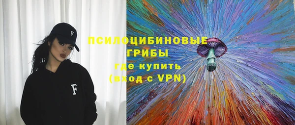 spice Кинешма