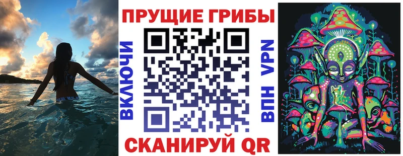 Псилоцибиновые грибы MAGIC MUSHROOMS Тейково