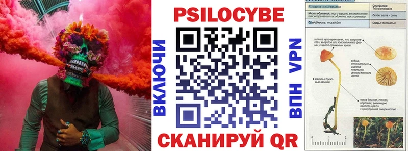 Псилоцибиновые грибы мицелий  Купить закладки  Тейково 